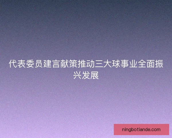 代表委员建言献策推动三大球事业全面振兴发展 代表委员建言献策推动三大球事业全面振兴发展