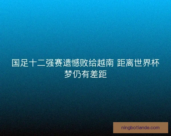 国足十二强赛遗憾败给越南 距离世界杯梦仍有差距