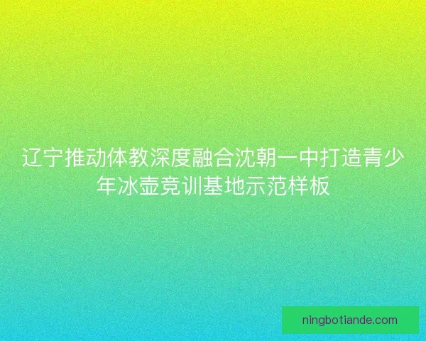 辽宁推动体教深度融合沈朝一中打造青少年冰壶竞训基地示范样板