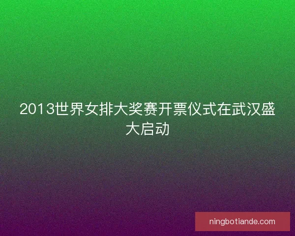 2013世界女排大奖赛开票仪式在武汉盛大启动 2013世界女排大奖赛开票仪式在武汉盛大启动