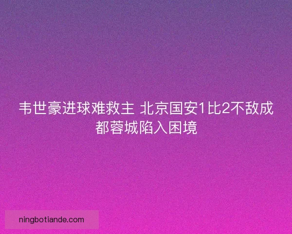 韦世豪进球难救主 北京国安1比2不敌成都蓉城陷入困境