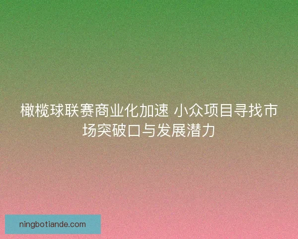 橄榄球联赛商业化加速 小众项目寻找市场突破口与发展潜力 橄榄球联赛商业化加速 小众项目寻找市场突破口与发展潜力