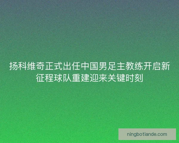 扬科维奇正式出任中国男足主教练开启新征程球队重建迎来关键时刻 扬科维奇正式出任中国男足主教练开启新征程球队重建迎来关键时刻