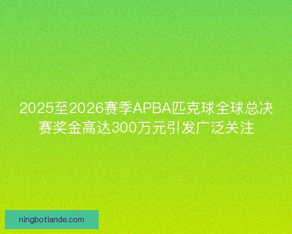 2025至2026赛季APBA匹克球全球总决赛奖金高达300万元引发广泛关注